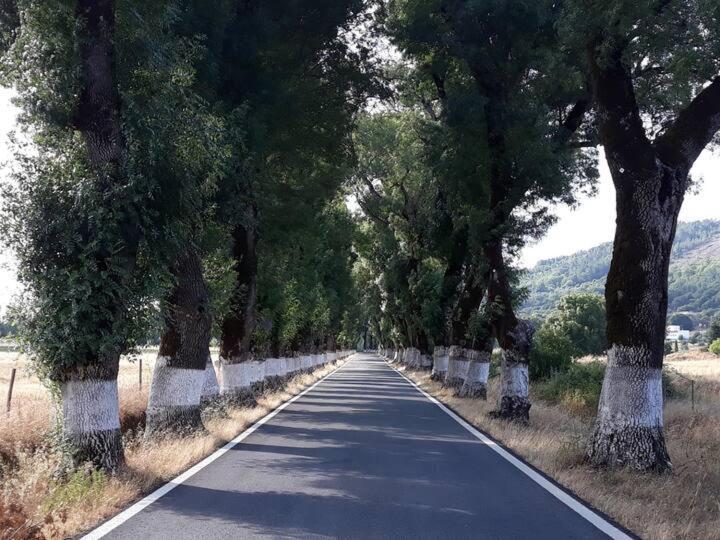 O Casulo Villa Marvão Екстериор снимка